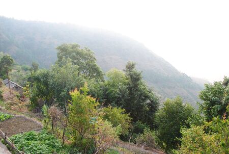 mountain view of Uttrakhand {India)