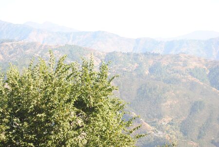 mountain view of Uttrakhand {India)