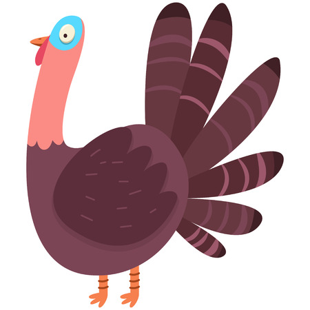 Cute turkey vector cartoon flat character. Bird illustration isolated on white background.のイラスト素材