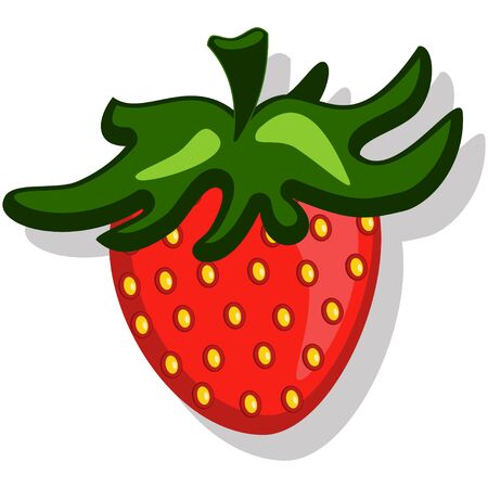 Cute strawberry vector cartoon illustration isolated on white background.のイラスト素材