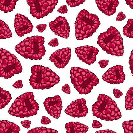 Raspberry seamless vector pattern on white background. Fruit texture for wallpaper, wrapping, packing, and backdrop.のイラスト素材