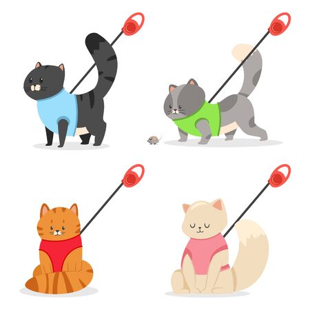 Cat harness and leash vector cartoon flat pet set isolated on a white background.のイラスト素材