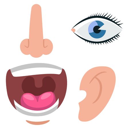 Human ear, nose, eyes and mouth vector flat icons isolated on white background.のイラスト素材