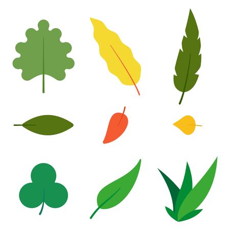 Leaves vector simple icons set isolated on a white background.のイラスト素材