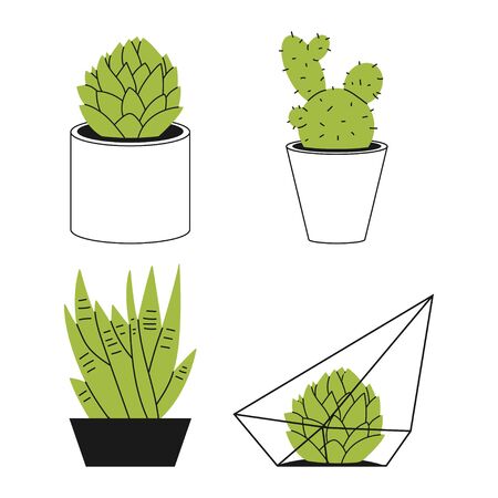 Succulents and cactus in a pot vector hand drawn illustration isolated on a white background.のイラスト素材