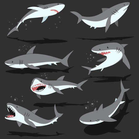 Sharks cartoon set isolated on background. Vector character of ocean fish with open mouth and teeth in different poses.のイラスト素材