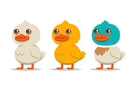 White, yellow and colored duck set. Vector cartoon bird character isolated on white background.のイラスト素材