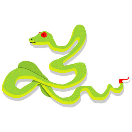 Green snake cartoon character. Vector illustration isolated on white background. Dangerous and toxic nature wild animals in the flat style.のイラスト素材