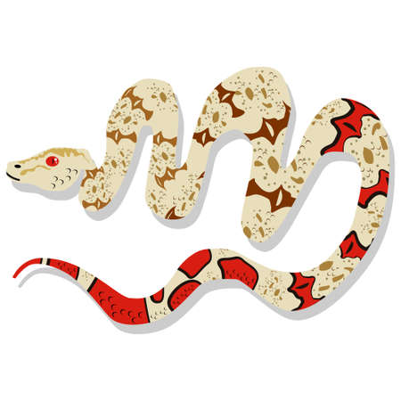 Snake cartoon character. Vector illustration isolated on white background. Dangerous and toxic...