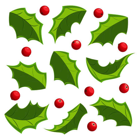 Christmas mistletoe leaves and berries vector set isolated on a white background.のイラスト素材