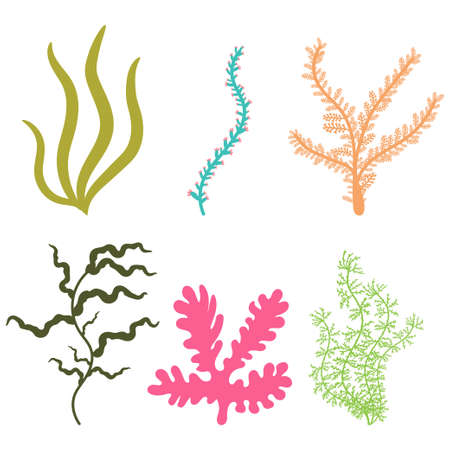 Seaweed vector cartoon set isolated on a white background.のイラスト素材