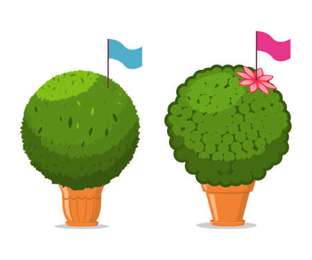Manjerico plant with flag in a pot. Vector cartoon illustration isolated on a white background.のイラスト素材
