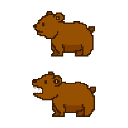 Pixel art bear. Vector 8 bit game animal character isolated on white background.のイラスト素材