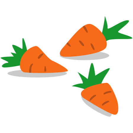 Carrot vector icon isolated on white background. Cartoon illustration.のイラスト素材