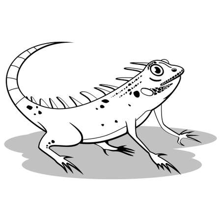 Coloring book page for children - cartoon iguana. Vector illustration.のイラスト素材