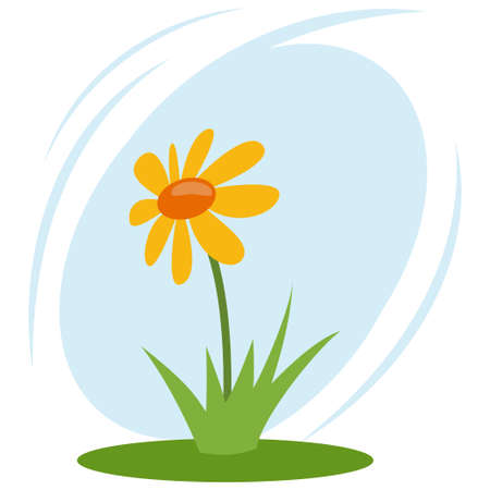 Yellow flower in the grass. Vector cartoon illustration isolated on white background.のイラスト素材