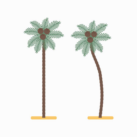 Palm tree with coconuts vector simple flat icon isolated on white background.のイラスト素材