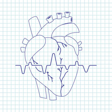 Human heart vector line art icon of internal organ isolated on background.のイラスト素材