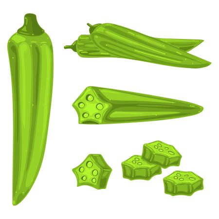 Okra vector cartoon illustration isolated on a white background.のイラスト素材