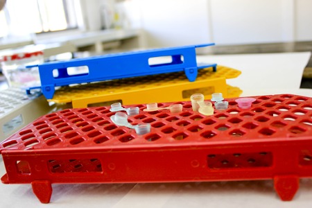 Color Microtubes in red rack