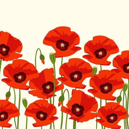 The red poppy flowers. Background. Vector illustrationのイラスト素材