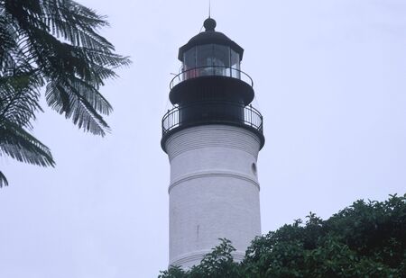 key west lighthouse framed with two treesの写真素材