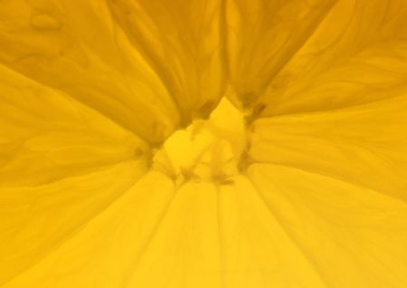 close-up of the inside of a lemonの写真素材