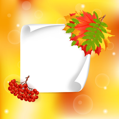 Autumn orange, red, yellow, green leaves and rowen around big white paper. Cartoon vector illustration. Concept for autumn seasonal sale, autumn congratulations banner, poster or card.のイラスト素材