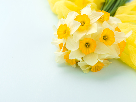 Daffodil bouquet with yellow textile decoration on blue pastel background with copy space. Spring flowers white narcissus - floral comosition for greeting card or congratulation banner.の写真素材