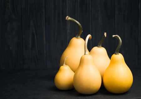Pumpkins on black background with copy space - horizontal banner with autumn ripe vegetables and empty space for text for seasonal and holiday design.の写真素材