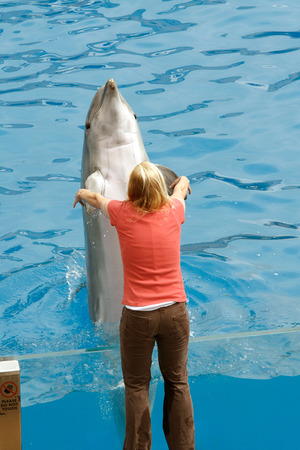 SAN DIEGO, CALIFORNIA, USA - JUNE 3, 2009: There is a representation. Dolphin Show. The dolphins who has jumped out of water. Sea Worldのeditorial素材