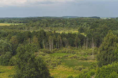 The nature scenery of Lithuania. Stunning green and forest landscape