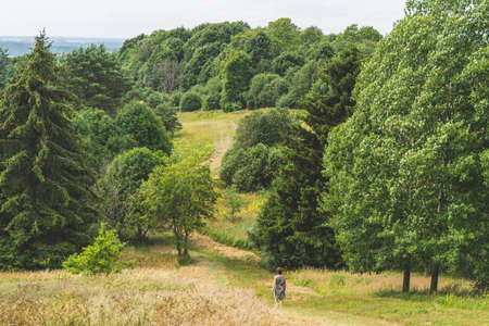 The nature scenery of Lithuania. Stunning green and forest landscapeの写真素材
