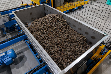 BCCâs nursery production system. Forest seed center. Automatic filling and seeding line which helps to restore forestsのeditorial素材