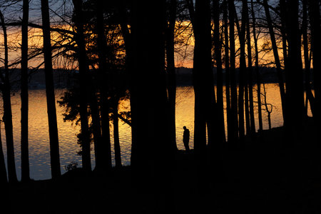 Person standing near the lake in the light of sunset surrounded by trees. Negative space photo. High quality photoの写真素材
