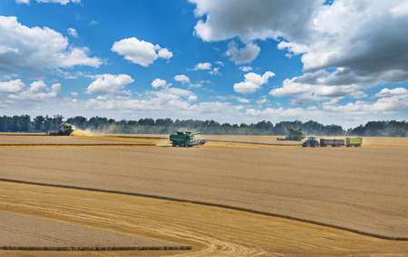 Dobrich, Bulgaria - July 07. 2019: Modern John Deere combine harvesting grain in the field near the town Dobrich, Bulgaria July 07, 2019のeditorial素材