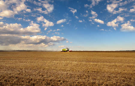 Combine harvester in action on wheat field.