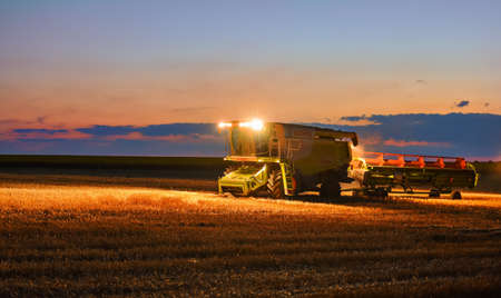 Combine harvester in action on wheat field.のeditorial素材