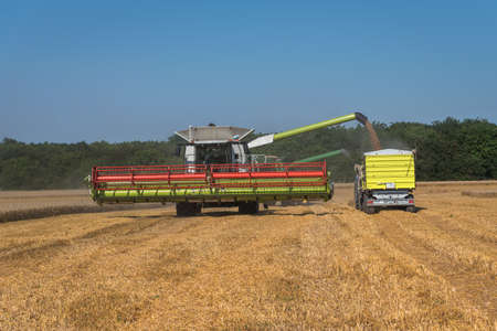 Combine harvester in action on wheat field.のeditorial素材
