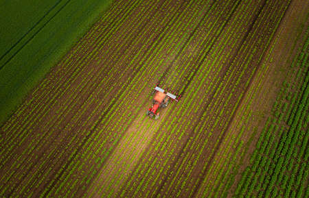 Red tractor in the field.