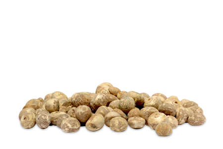 These are betel nuts. Many peeled betel nuts at once and white Background with shadowの写真素材
