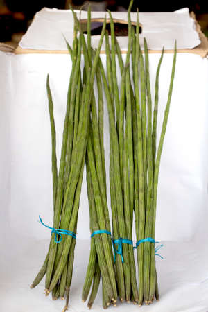 A bunch of Long long rows of bean vegetables and white background on the backの写真素材
