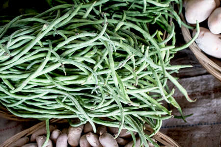 Barbati vines and other vegetables are lying on the ground