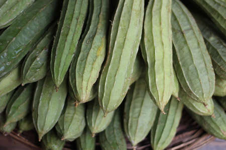 A bunch of luffa at the market in a bamboo cage.の写真素材