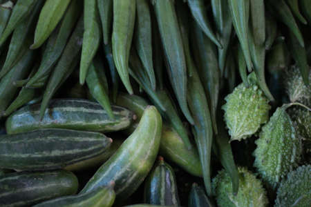 Some vegetables are lady's finger, bitter gourd, and pointed gourdの写真素材