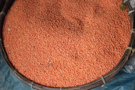 Numerous small lentils. It is delicious to eat and has many medicinal properties And very beneficial foodsの写真素材