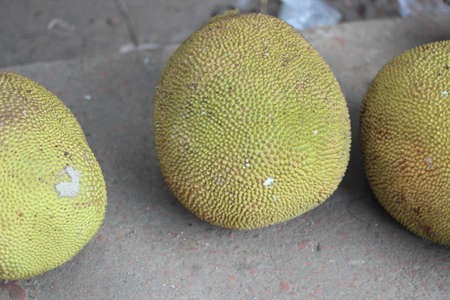 Three jackfruits have been brought to the market for saleの写真素材
