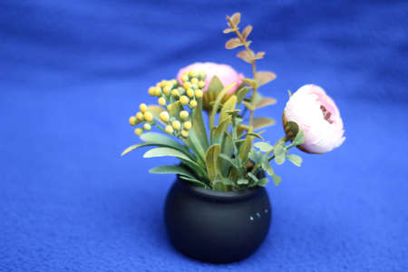 A floral pot in black and a blue backgroundの写真素材