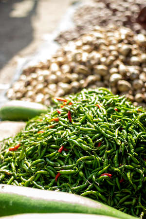 Many raw chilies are piled together and background blurの写真素材