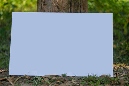 A blank white sign board leaning against a tree, Real shadow, and the background blurの写真素材